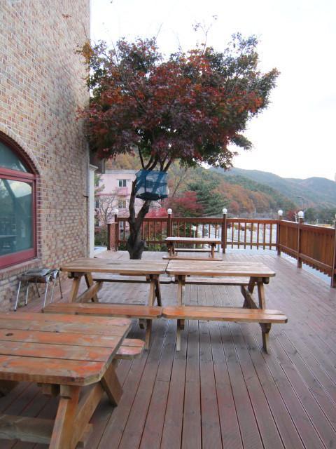 במוטל סוקצ'ו Songwol Park מראה חיצוני תמונה