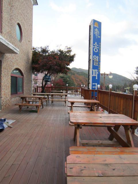 במוטל סוקצ'ו Songwol Park מראה חיצוני תמונה